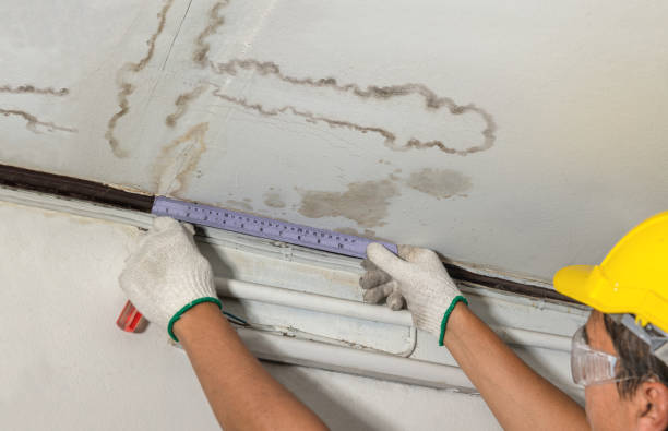 Reliable Sewage Cleanup contractor in Monterey Park, CA by Hirex Water Damage